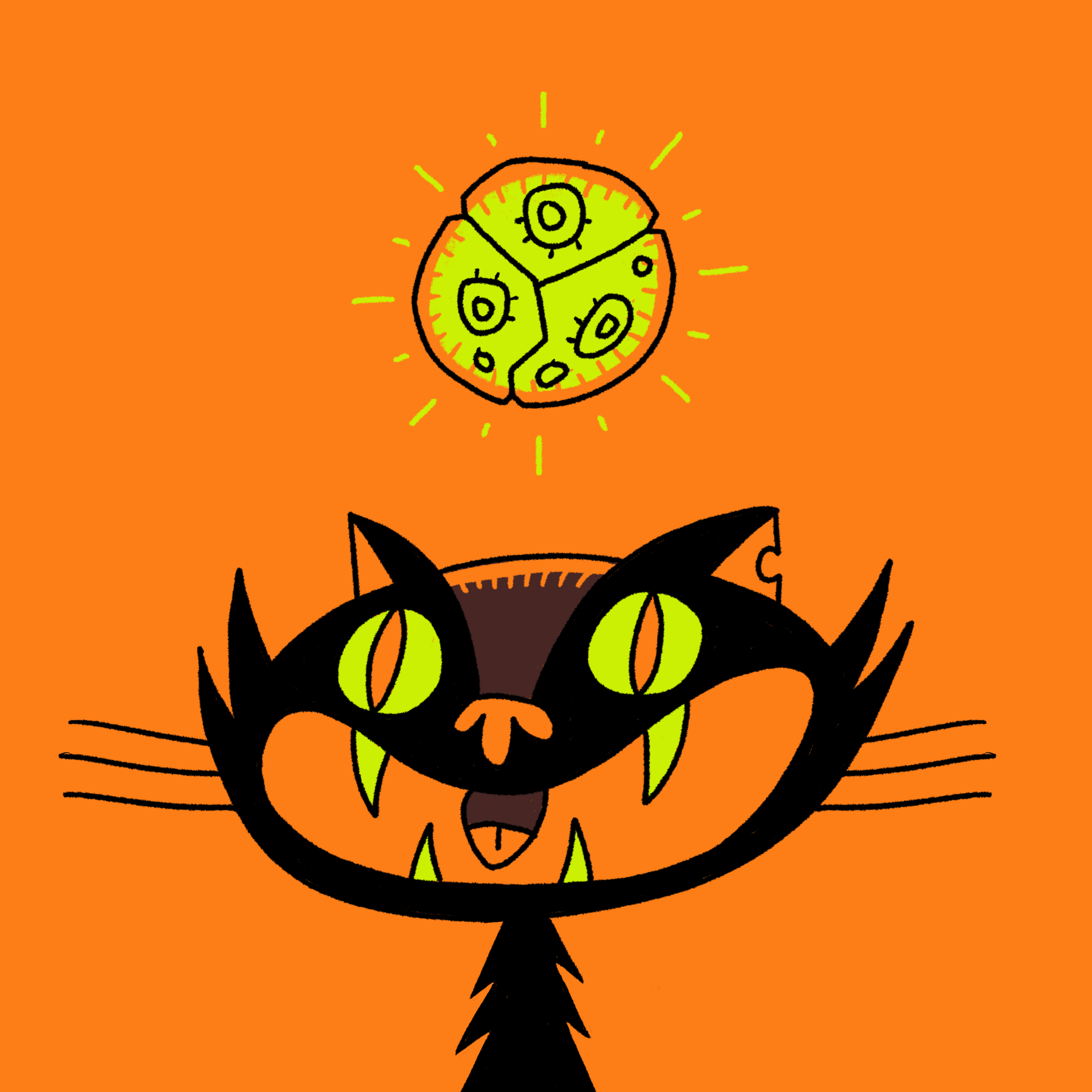 Halloween: Black Cat