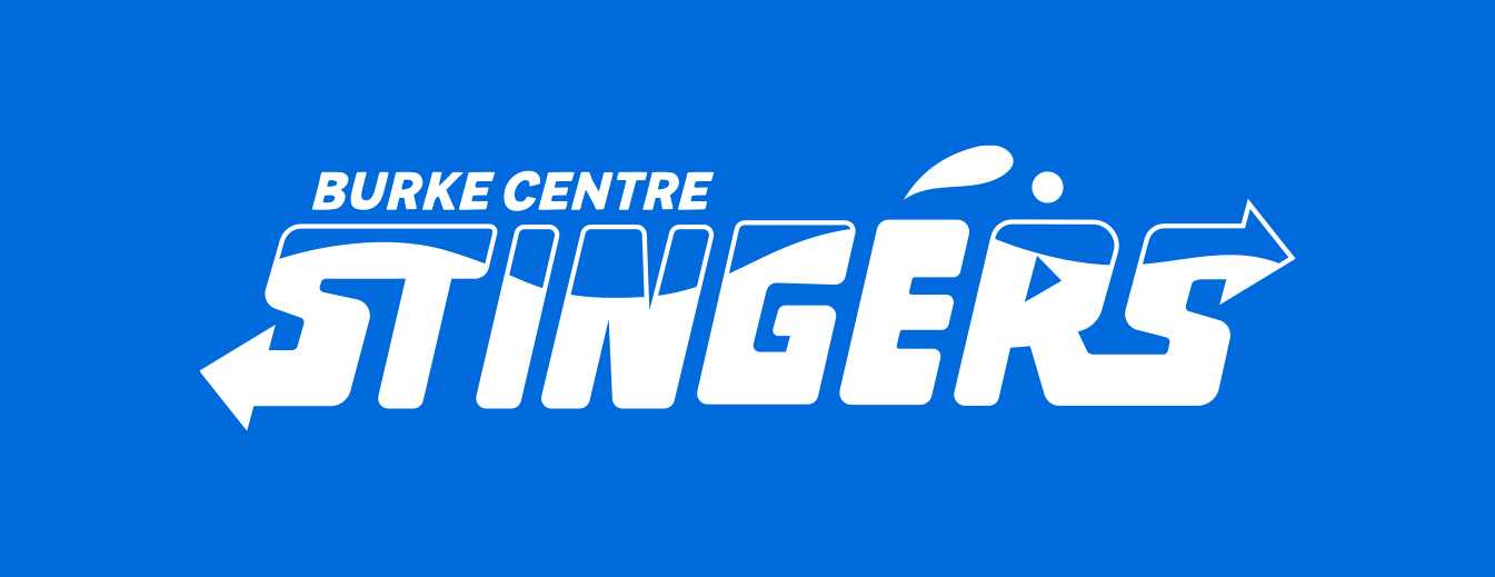 Stingers Swim Team branding